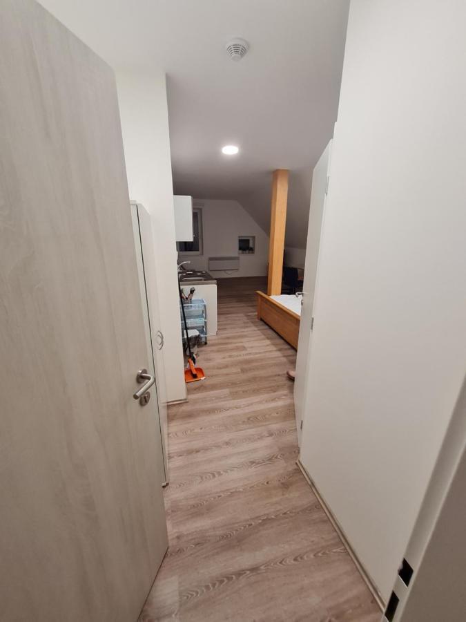 Apartment Tesla *